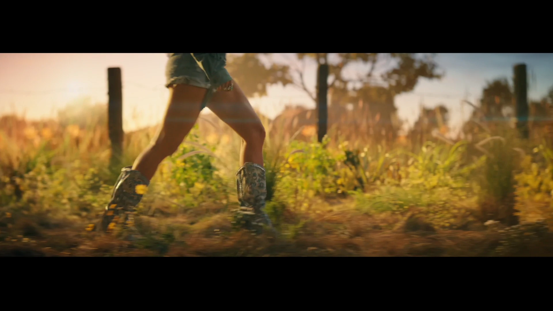 allegiant — project image